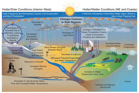 Environmental Considerations: Minimizing Impact on River Ecosystem