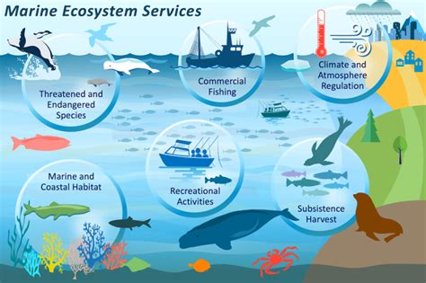 Environmental Impact: Implications for Marine Ecosystems