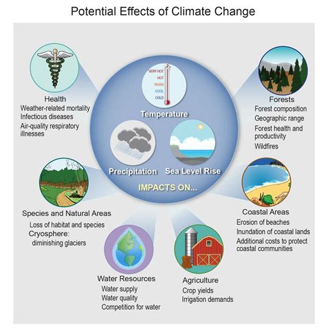 Environmental Implications: Assessing the Impact of Abnormal Weather Patterns