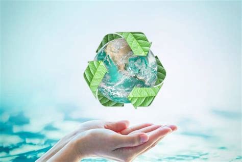 Environmental Sustainability: The Eco-Friendly Solution of Polypropylene