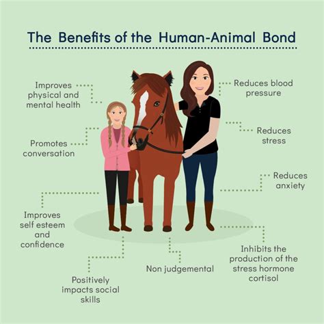 Equine Therapy: How Horses Aid in the Healing Process