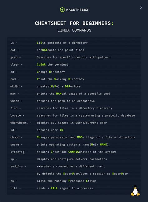 Essential Linux Commands for Beginners