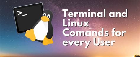 Essential Linux Operations for Novice Individuals