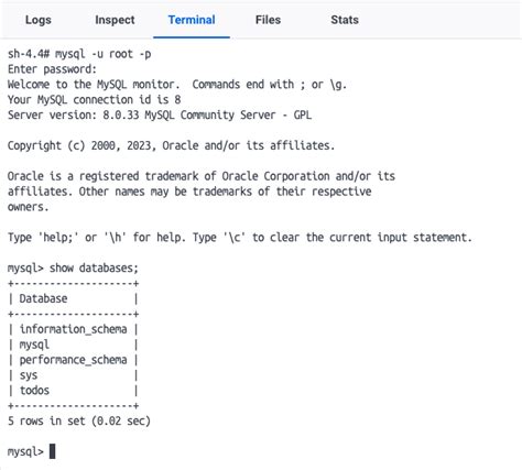 Establishing Connection to MySQL Container