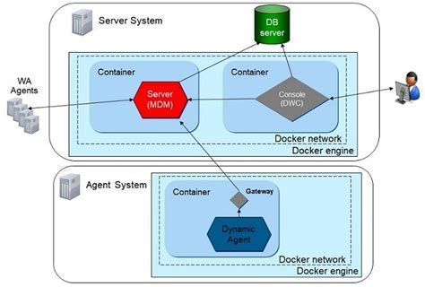 Establishing Database Connectivity within a Dockerized Environment