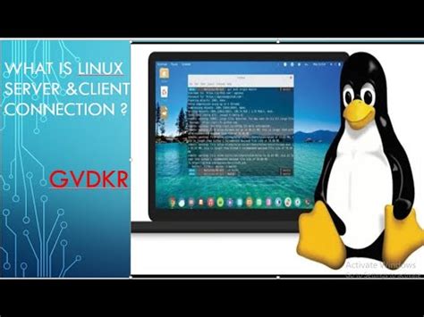 Establishing a Connection between Linux and Windows Operating Systems