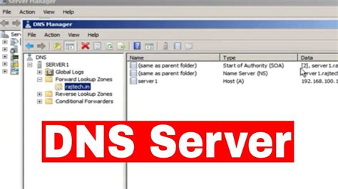 Examining DNS server configuration in Docker on the latest Windows Server