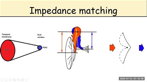 Examining the Influence of Impedance on the Volume and Clarity of Audio Reproduction in Headphones