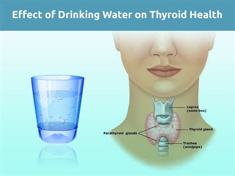 Examining the Influence of a Dysfunctional Water Tap in Dream Analysis