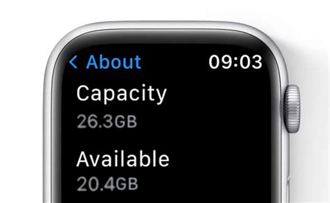 Examining the Storage Capacity of Your Apple Watch