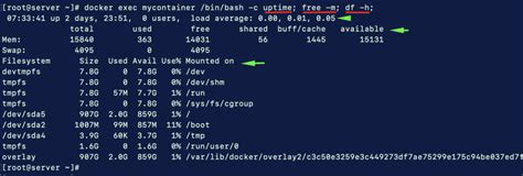 Executing a Command in a Docker Container on a Windows Environment