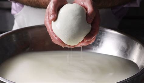 Experience the Pleasure of Crafting your Own Fresh Curds