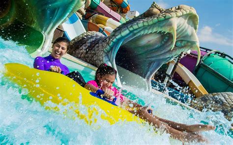 Experience the Ultimate Water Slides