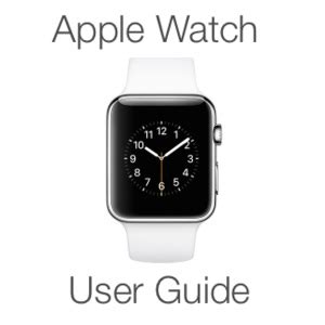 Exploring Alternative Search Options for Apple Watch Users