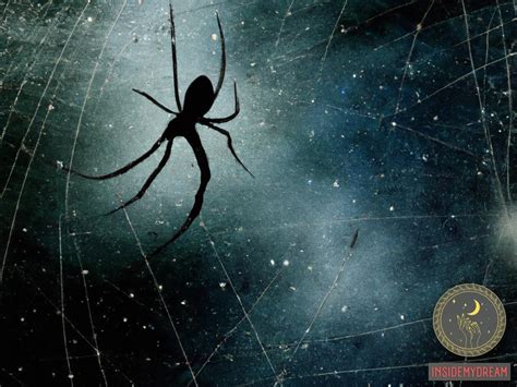 Exploring Cultural Beliefs Associated with the Presence of Black Widows in Dreams