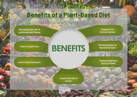 Exploring Dietary Changes and Nutritional Supplements