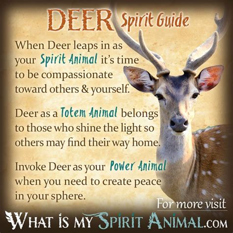 Exploring Different Cultural Beliefs about the Spiritual Significance and Symbolism of Deer