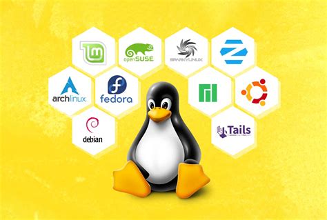 Exploring Different Linux Distributions and their Suitability for Deploying an Efficient Email Server