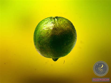 Exploring Lime Dream Interpretation through Color and Condition of the Fruit