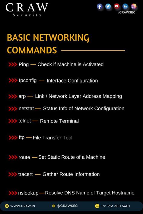 Exploring Network Interactions in the Command Line