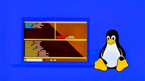 Exploring Operating Systems and Distributions in the Linux Environment