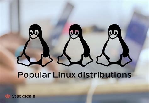 Exploring Popular Linux Distributions: Pros and Cons