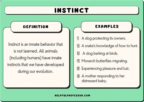 Exploring Possible Interpretations: From Instincts to Desires