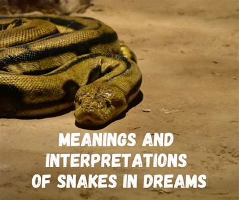 Exploring Symbolic Interpretations: Unraveling the Significance of Dreaming about Snake Flesh