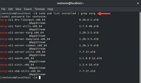 Exploring Terminal Commands to Remove Installed Software Packages