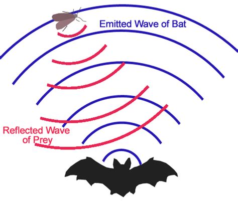 Exploring Trading Platforms and Communities for Acquiring Bat-inspired Audio Devices