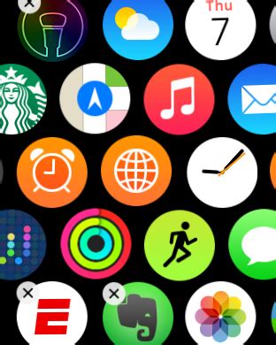 Exploring and Managing Applications on Your Apple Watch SE