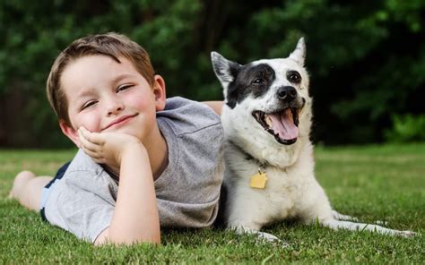 Exploring common scenarios: women dreaming of playing or interacting with dogs