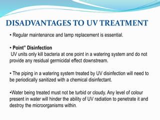 Exploring the Advantages and Limitations of UV Sterilization in Clearing Turbid Water