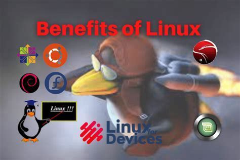 Exploring the Advantages of Linux for Effective Virtual Machine Supervision