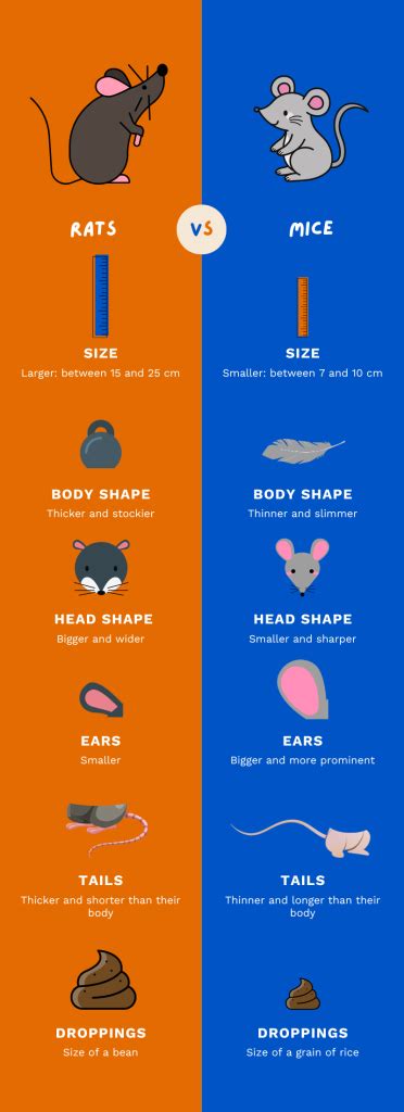 Exploring the Association Between Mice and Subconscious Desires