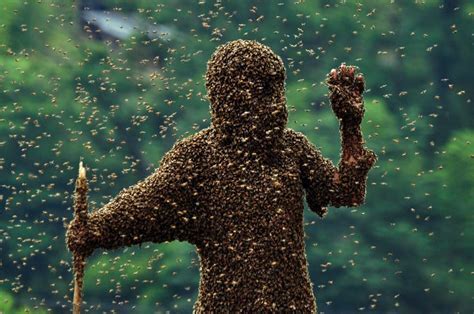 Exploring the Astounding Insights: Woman Discovers Answers within Enigmatic Bee Swarm Visions