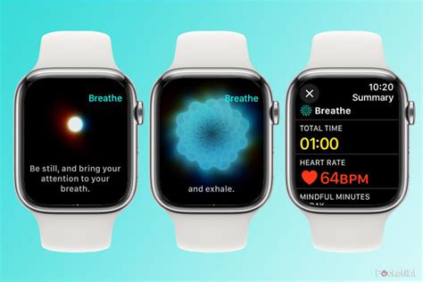 Exploring the Benefits of Mindfulness with the Apple Watch