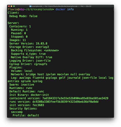 Exploring the Command Line Experience within Docker Containers