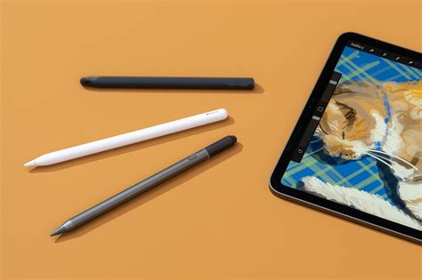 Exploring the Compatibility of Conventional Styluses with iPad's Drawing Capabilities