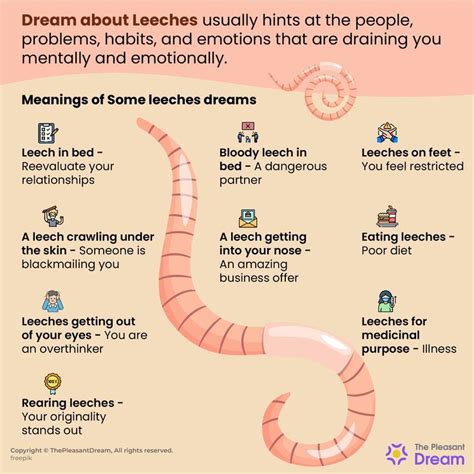 Exploring the Connection Between Leech Dreams and Health