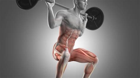 Exploring the Connection Between Squats and Inner Strength