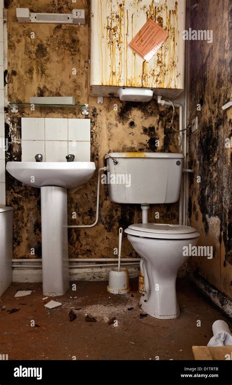 Exploring the Connection Between a Filthy Restroom and the Importance of Personal Boundaries and Privacy