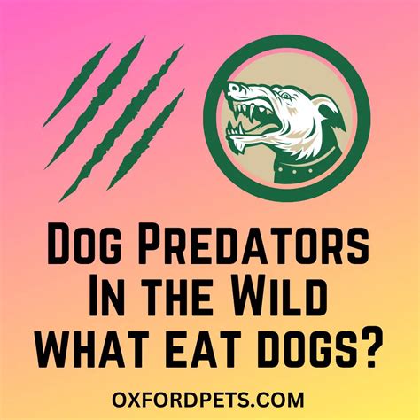 Exploring the Culinary Preferences of a Mysterious Canine Predator