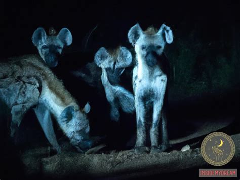 Exploring the Cultural Significance of Hyenas in Women's Dreams