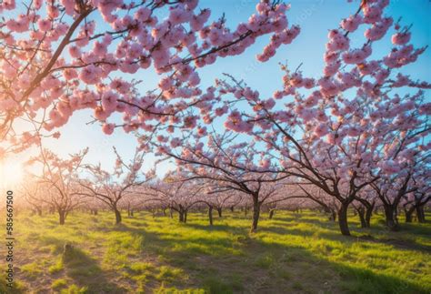 Exploring the Cultural Significance of Untamed Blossoms