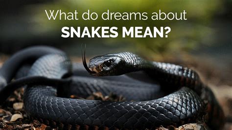 Exploring the Cultural and Historical Associations of Snake Dreams for Women