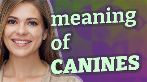 Exploring the Deep Connection between Canines and Females