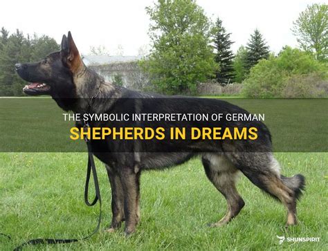 Exploring the Deeper Meaning of a German Shepherd in the Realm of Dreams