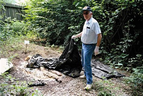 Exploring the Disturbing Dreamworld of a Decaying Cadaver