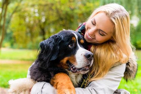 Exploring the Emotional Bond with a Dream Pooch